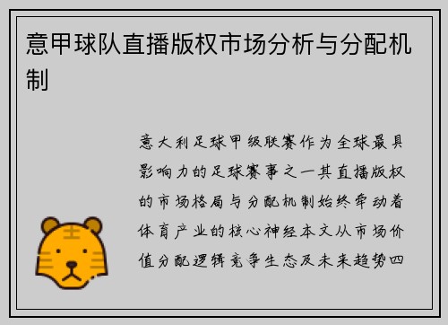 意甲球队直播版权市场分析与分配机制