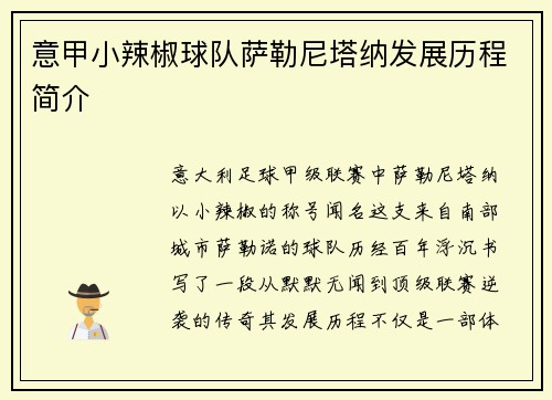 意甲小辣椒球队萨勒尼塔纳发展历程简介